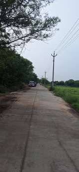 Plot For Resale in Sector 16a Faridabad  7654799