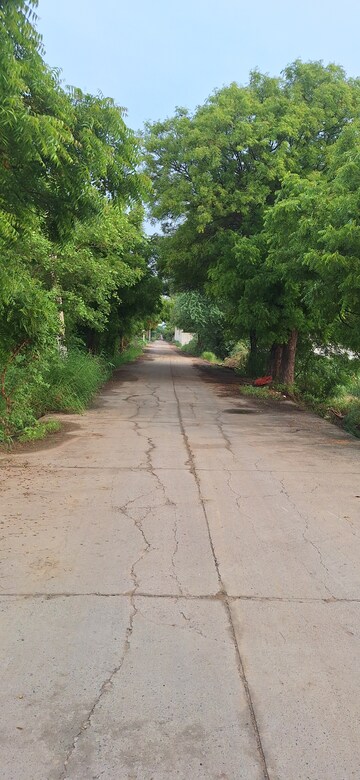Plot Area in  Plot at Sector 16 – for Sale