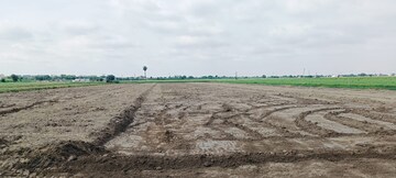  Plot For Sale in Sector 89