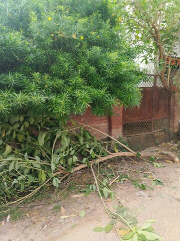  Plot For Sale in Gomti Nagar