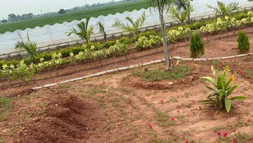 Plot Area in  Plot at Sri Bhumi Eeshaanya, Kankipadu – for Sale