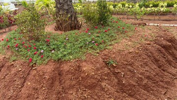 Plot Area in  Plot at Sri Bhumi Eeshaanya, Kankipadu – for Sale