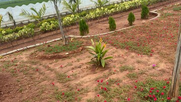  Plot – Garden View at Sri Bhumi Eeshaanya, Kankipadu - for Sale