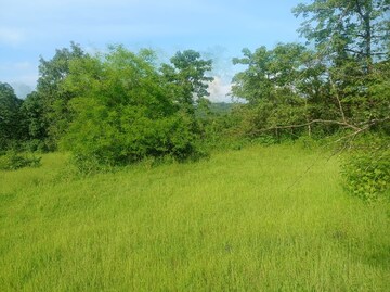 Plot Area in  Plot at Mangaon – for Sale