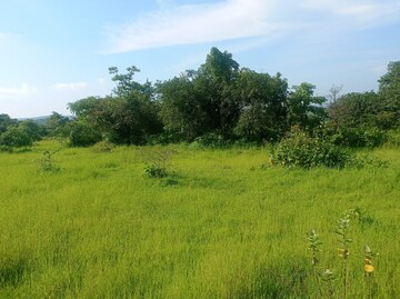  Plot For Sale in Mangaon