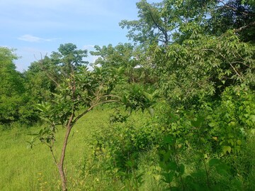  Plot – Garden View at Mangaon - for Sale