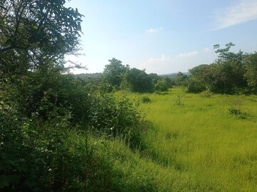 Plot Area in  Plot at Mangaon – for Sale