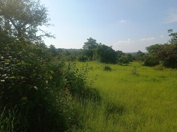 Plot Area in  Plot at Mangaon – for Sale
