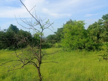 Plot Area in  Plot at Mangaon – for Sale