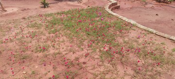  Plot – Garden View at Sri Bhumi Eeshaanya, Kankipadu - for Sale