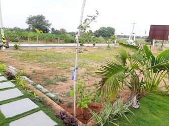 Plot For Resale in Glentree Pharma County Nandiwanaparthy Hyderabad  7655357