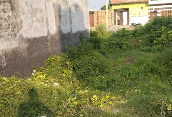 Plot For Resale in Shiv Colony Sonipat  7655540