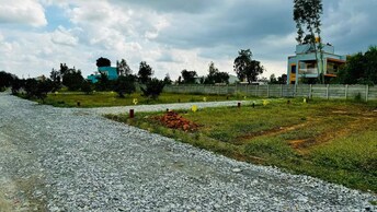 Plot For Resale in Om Kunj Dadri Greater Noida  7655784