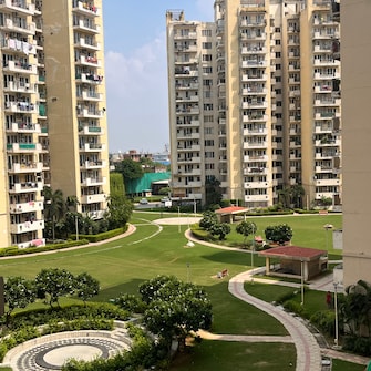 3 BHK Apartment For Rent in Corona Optus Basai Enclave 2 Gurgaon  7655871