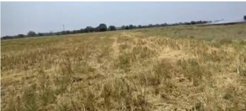 Plot Area in  Land at Peddapur – for Sale