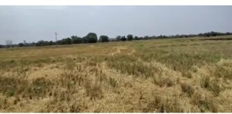 Commercial Land 108900 Sq.Ft. For Resale in Chintalakunta Hyderabad  7656508