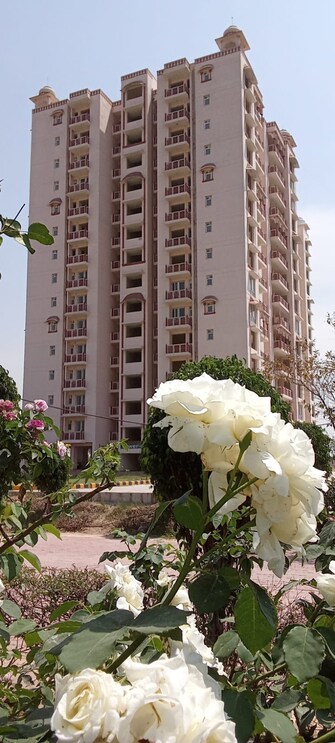 3 BHK Apartment For Resale in HFL Presidency Estate Alwar Bypass Road Bhiwadi  7656694