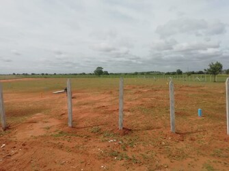 Plot For Resale in Cheruvu Katta Anantapuram  7657288