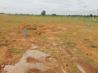 Plot For Resale in Cheruvu Katta Anantapuram  7657288