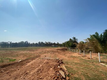 Plot For Resale in Hemmigepura Bangalore  7657335