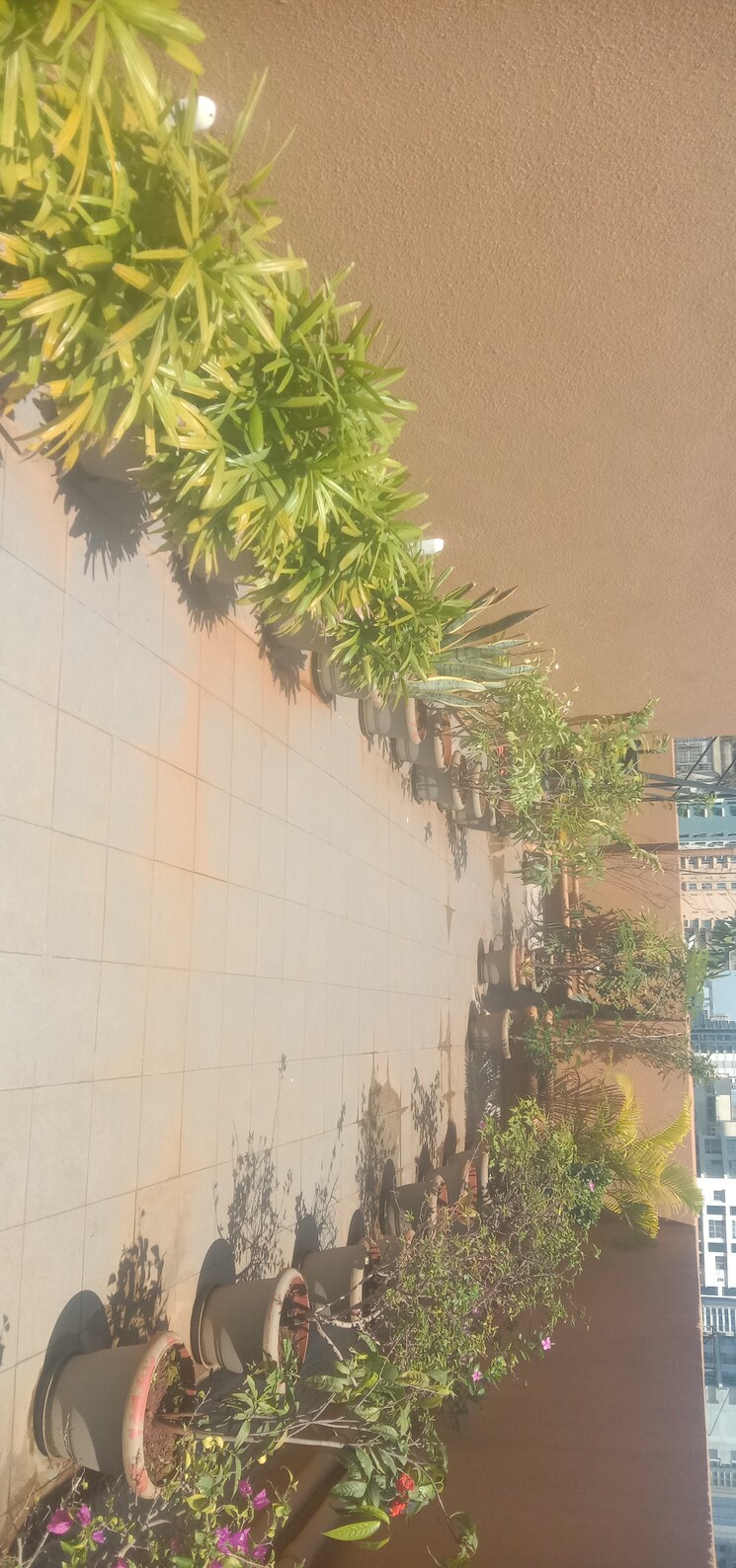 Balcony, heritage-elegance 2 Bedroom 835 Sq.Ft. Apartment In Matunga Mumbai 7657408