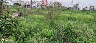 Plot For Resale in IBD Queens Court Bagli Village Bhopal  7657517