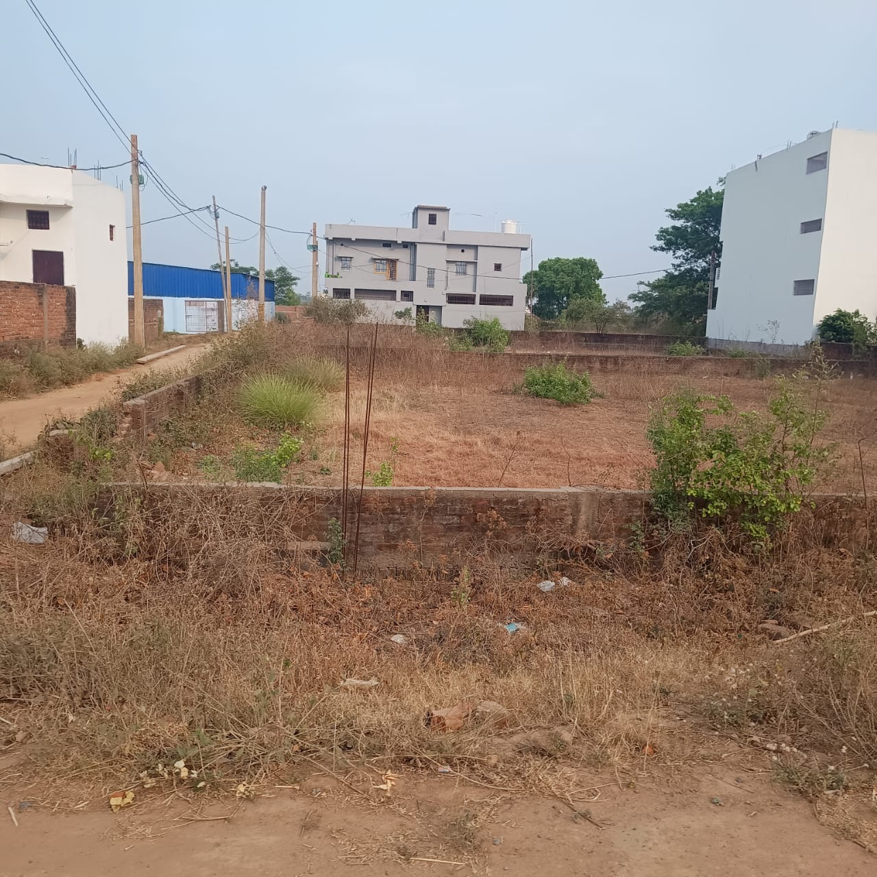 Plot For Resale in Sampatchak Patna  7657702