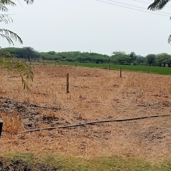 Plot For Resale in Green County Shamirpet Shamirpet Hyderabad  7657933