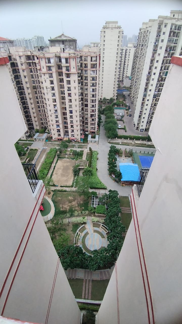 3 BHK Apartment For Rent in Amrapali Silicon City Sector 76 Noida  7658062