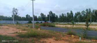 Plot For Resale in Huttanahalli Bangalore  7658190