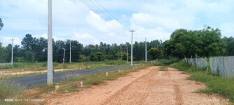 Plot For Resale in Huttanahalli Bangalore  7658190