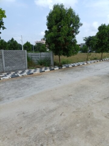 Plot Area in  Plot at Shadnagar – for Sale