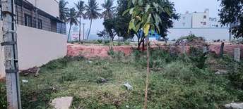 Plot For Resale in Doopanahalli Bangalore  7658309