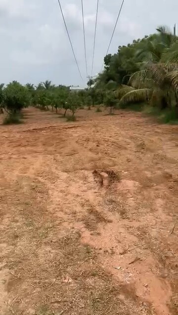  Plot For Sale in Shamshabad