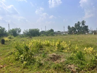 Commercial Industrial Plot 3 Acre For Rent in Kalaparru Eluru  7432043