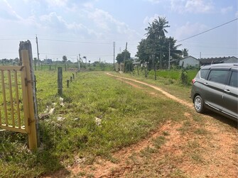 Commercial Industrial Plot 3 Acre For Rent in Kalaparru Eluru  7432043