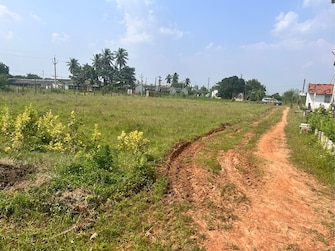 Commercial Industrial Plot 3 Acre For Rent in Kalaparru Eluru  7432043