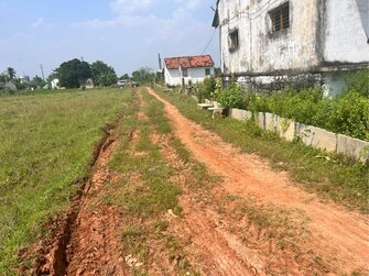 Commercial Industrial Plot 3 Acre For Rent in Kalaparru Eluru  7432043