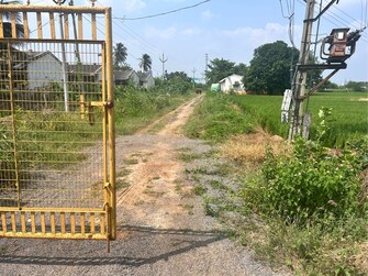 Commercial Industrial Plot 3 Acre For Rent in Kalaparru Eluru  7432043