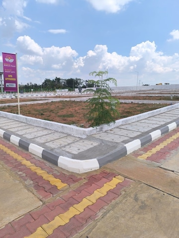 Plot For Resale in Sampangi Rama Nagar Bangalore  7658873