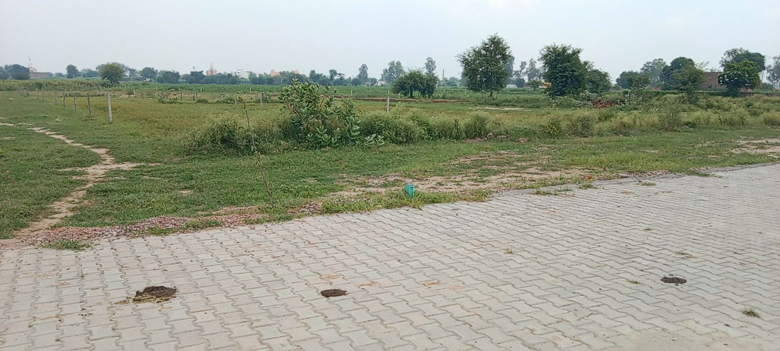 Plot For Resale in Yamuna Expressway Greater Noida  7658948