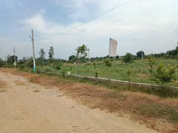 Plot Area in  Plot at Tappal – for Sale