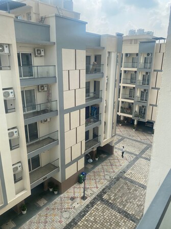 3 BHK Apartment For Rent in Breez Flora Avenue 33 Sohna Sector 33 Gurgaon  7659143