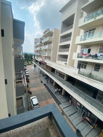 3 BHK Apartment For Rent in Breez Flora Avenue 33 Sohna Sector 33 Gurgaon  7659143