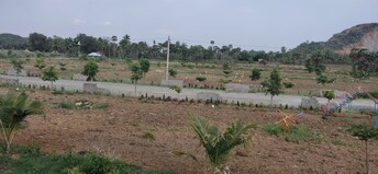 Plot For Resale in Kothavalasa Vizag  7659047