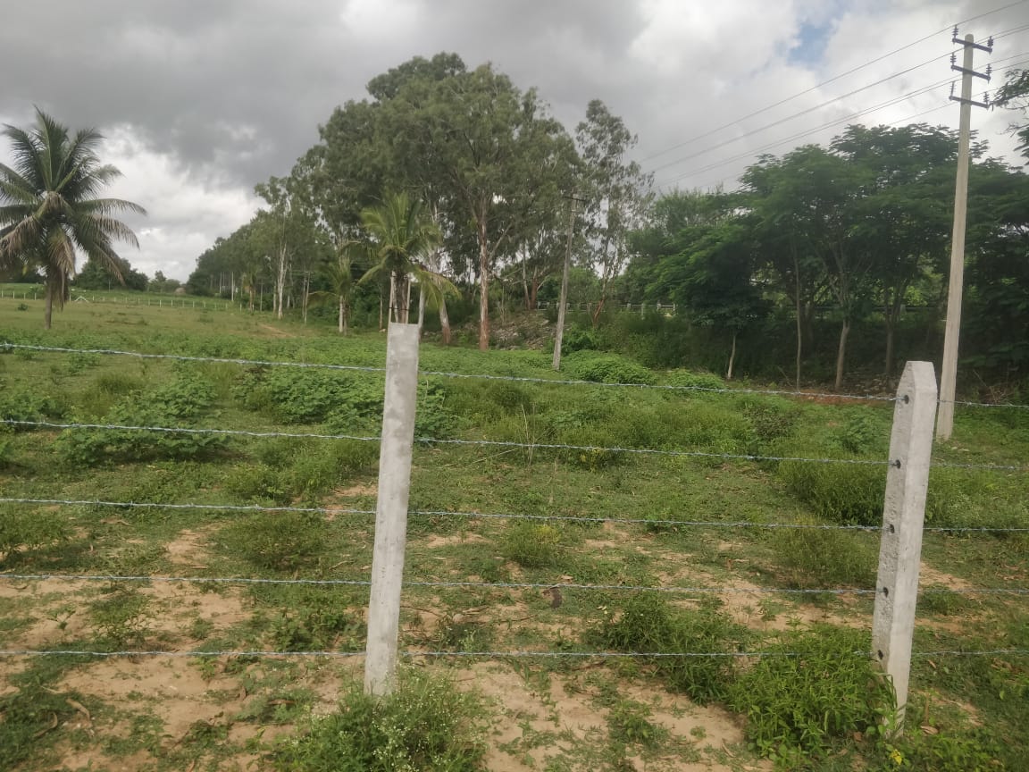 Plot For Resale in Jalahalli East Bangalore  7659669