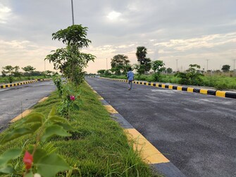 Plot For Resale in Rudraram Hyderabad  7659836