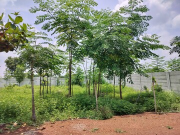  Plot – Garden View at Manneguda - for Sale