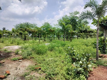 Plot Area in  Plot at Manneguda – for Sale