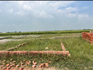 Plot Area in  Plot at Ip Colony – for Sale
